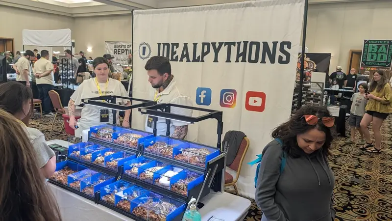 Custom Banners Preview