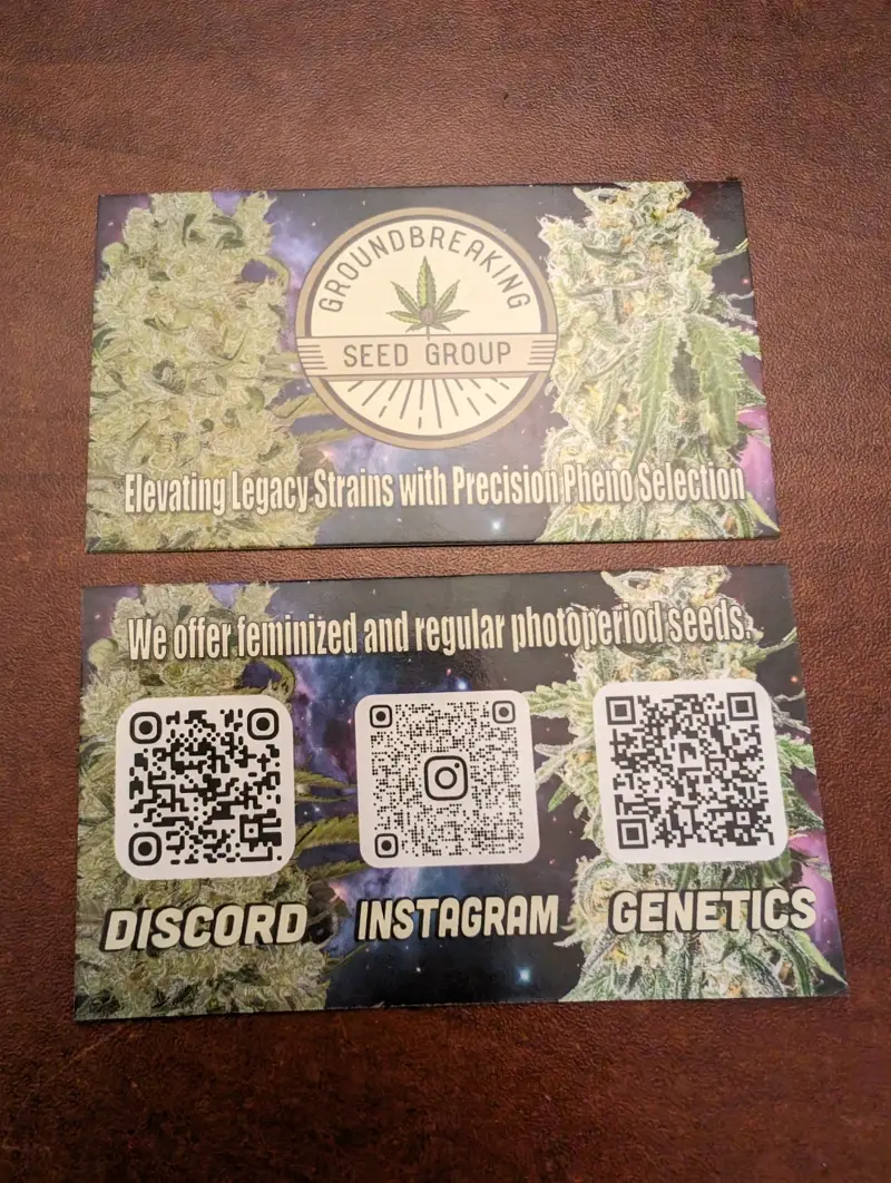 Premium Business Cards Preview