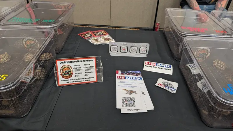 Promo Flyers (4x5) Preview