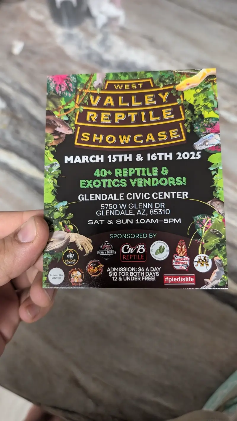 Promo Flyers (4x5) Preview