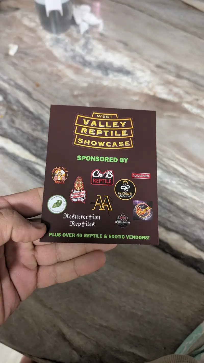 Promo Flyers (4x5) Preview