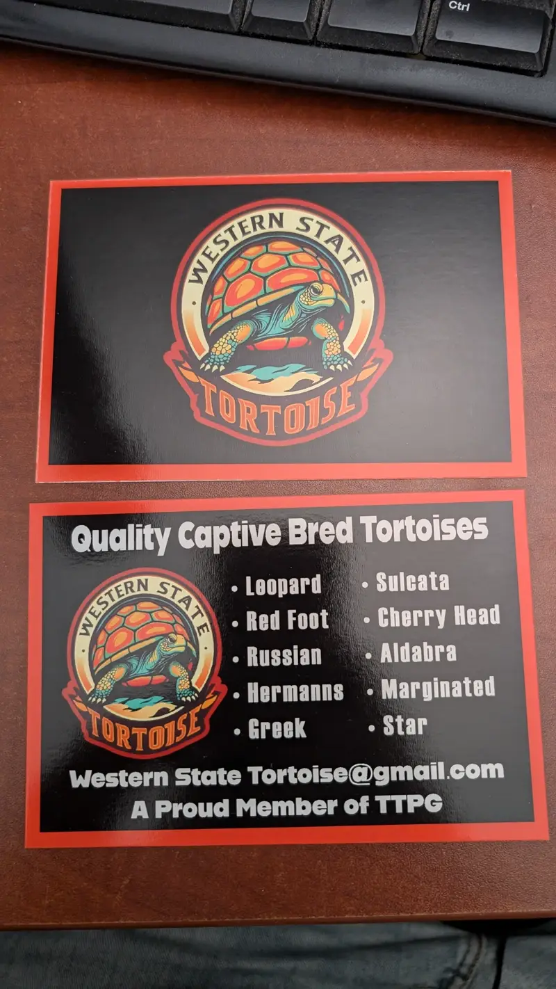 Promo Flyers (4x5) Preview