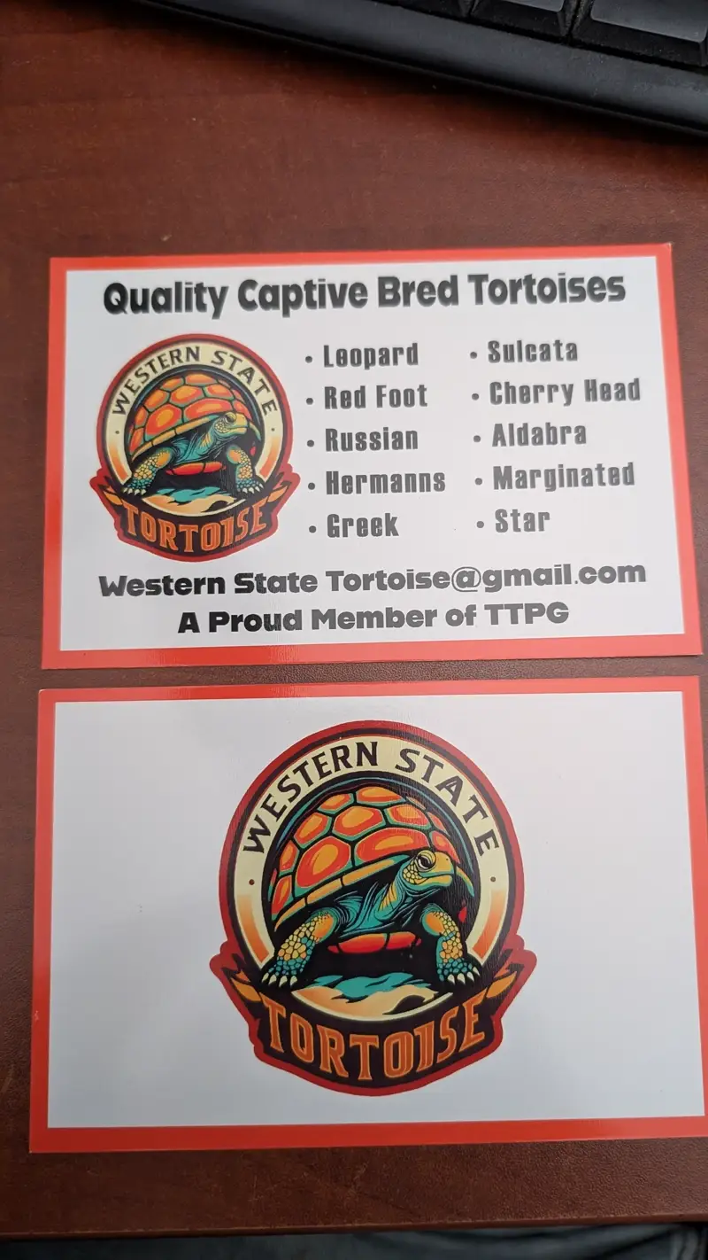 Promo Flyers (4x5) Preview