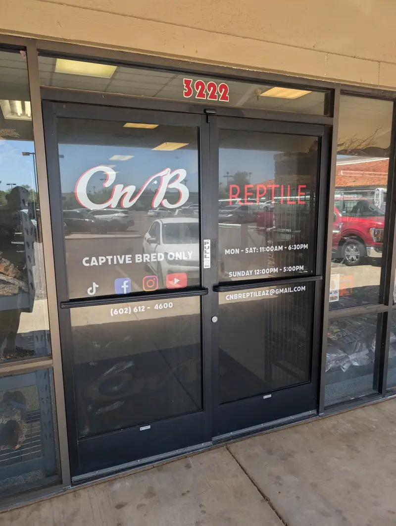 Window Wraps Preview