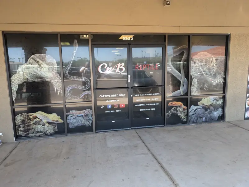 Window Wraps Preview